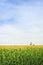 Corn field with silos