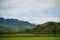 Corn fields with beautiful views, good atmosphere