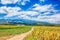 Corn fields in northern Tanzania