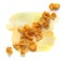 Corn flakes on watercolor paint