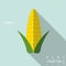 Corn flat icon illustration with long shadow