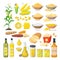 Corn food, set of maize meal, corn oil, corn stickes, cornflakes, pop corn, grits, flour, starch, kernels, plant, bread