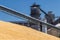 Corn and Grain Handling or Harvesting Terminal. Corn Can be Used for Food, Feed or Ethanol V