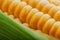 Corn grains in close-up closeup, rows of fresh and ripe yellow corn kernels, corn cob. Close-up full-screen, continuous abstract