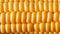 Corn grains in close-up closeup, rows of fresh and ripe yellow corn kernels, corn cob. Close-up full-screen, continuous abstract