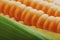 Corn grains in close-up closeup, rows of fresh and ripe yellow corn kernels, corn cob. Close-up full-screen, continuous abstract