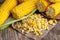 Corn grains on paper with tasty, ripe ears of corn, isolated on