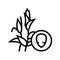 corn groat line icon vector illustration