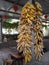 The corn hung on the cement column