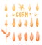 Corn icons. Popcorn silhouette.