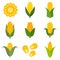 Corn icons set, flat style