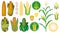 Corn icons set vector illustration