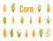 Corn icons. Vector illustration isolated on white background.