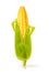 Corn isolated