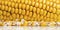 Corn Kernels, Corn Cob Background