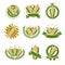 Corn label and element set. Collection icon corn. Vector
