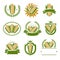 Corn label and element set. Collection icon corn. Vector