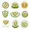 Corn label and element set. Collection icon corn. Vector