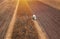 Corn maize harvest, aerial view of combine harvester