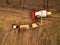 Corn maize harvest, aerial view of tractor and combine harvester