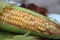 Corn or maize kernel with grains