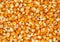 Corn maize kernels pile full frame