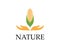 Corn nature industry logo vector illustration
