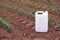 Corn pesticide canister in field, mock up image