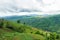 Corn Plantation at Mea Salong Mountain