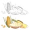 Corn porridge sketch coloring page
