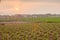 corn and Potato Farmland, Northern of Thailand