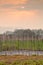 Corn and potato Farmland, Northern of Thailand