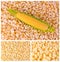 Corn products