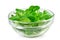 Corn salad leaf vegetable, lamb`s lettuce isolated on white