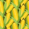 Corn seamless pattern vector illustration. Maize ear or cob.