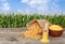 Corn seeds and cornmeal on table