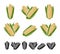 Corn set. Collection icon corn. Vector