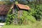 Corn shed used for drying and storing corn cobs made from narrow wooden boards completely overgrown with crawler plants and forest