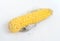 Corn smut is a plant disease caused by the pathogenic fungus Ustilago maydis. On white background