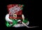 Corn Snake slithering through a pair of holiday Christmas Hat glasses isolated on black