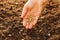 Corn sowing by hand