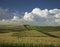 Corn and soybean fields below dramatic clouds in late afternoon