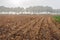 Corn stubble field on a misty morning in the fall season