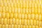 Corn texture closeup