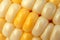 Corn vegatable closeup background