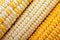 Corn vegatable closeup background