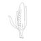 Corn vegetable in continuous line art drawing style. Corn plant minimalist black linear sketch isolated on white background.