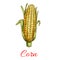 Corn vegetable vector isolated sketch icon