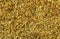 Corn waste and chaff. Indian corn. Closeup. Background. Macro image can be used as background.