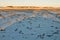 Corn white field in winter at dawn